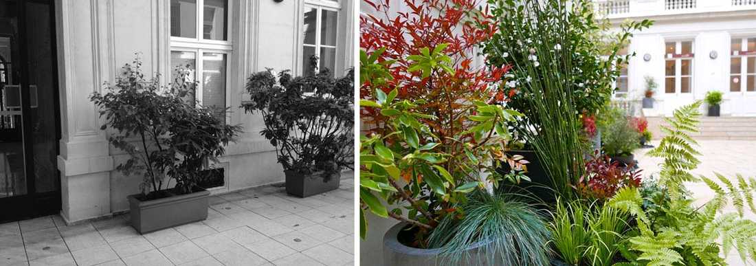 Un jardinier paysagiste aménage la cour intérieure d'un hôtel particulier à Lille