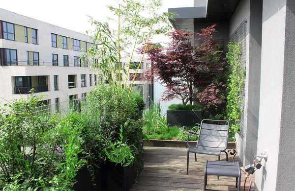 Aménagement paysager de la terrasse d'un penthouse à Lille.