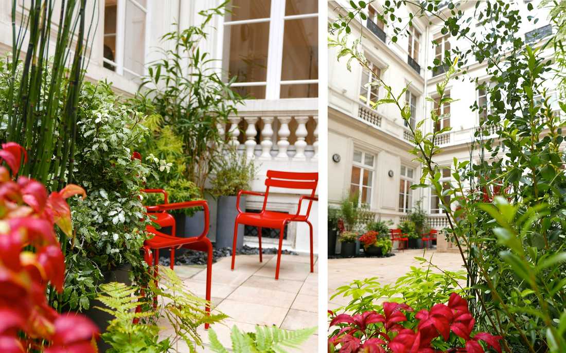 Aménagement paysager de la cour d'un hôtel particulier à Lille